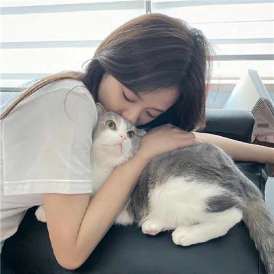 狐狸的夏天2